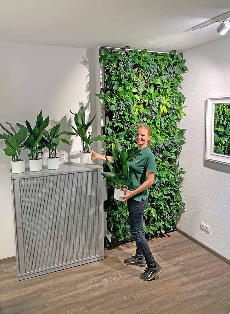 Pflanzen im Büro