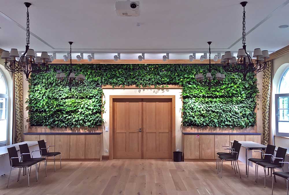 Wand aus echten Pflanzen
