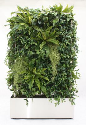 Plant ed wall Pflanzenparavent