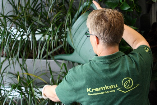 Pflanzenpflege / Gießen - Kremkau Raumbegrünung