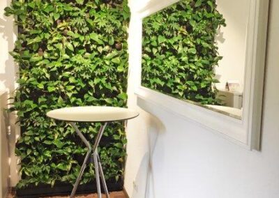 Wand aus Pflanzen